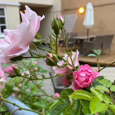 奥尔胡斯城市公寓酒店 公寓式酒店 Århus
